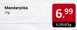Market Point Mandarynka Market Point oferta