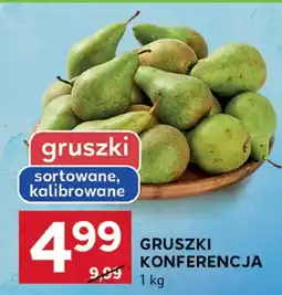 Stokrotka Gruszki Konferencja Stokrotka oferta