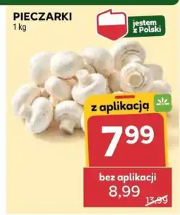 Stokrotka Pieczarki Stokrotka oferta