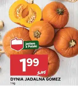 Stokrotka Dynia jadalna Gomez oferta