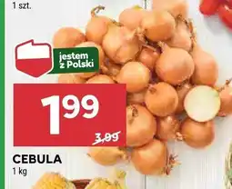 Stokrotka Cebula Stokrotka oferta