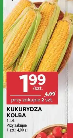 Stokrotka Kukurydza kolba Stokrotka oferta