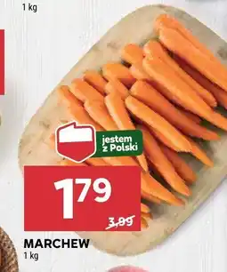 Stokrotka Marchew Stokrotka oferta