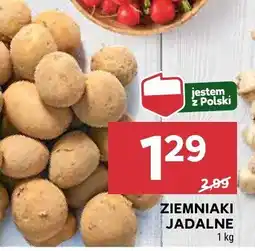 Stokrotka Ziemniaki jadalne Stokrotka oferta