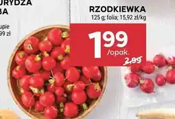 Stokrotka Rzodkiewka Stokrotka oferta
