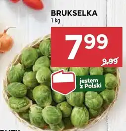 Stokrotka Brukselka Stokrotka oferta