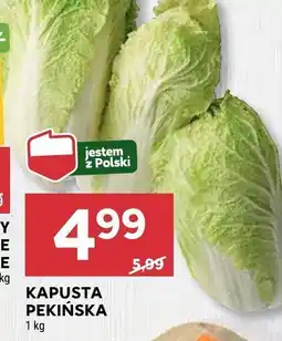 Stokrotka Kapusta pekińska Stokrotka oferta