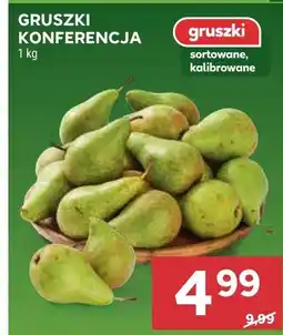 Stokrotka Gruszki konferencja oferta