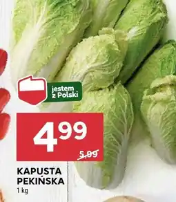 Stokrotka Kapusta pekińska Stokrotka oferta