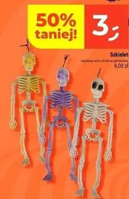 Dealz Szkielet oferta