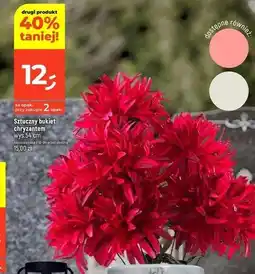 Dealz Chryzantema 54 cm oferta