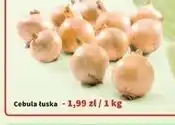 Intermarche Cebula oferta