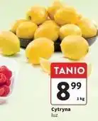 Intermarche Cytryny oferta