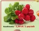 Intermarche Rzodkiewka oferta