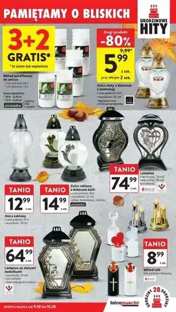 Intermarche Znicz 30h Tulipe oferta