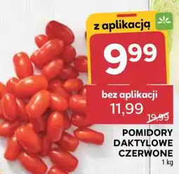 Stokrotka Market Pomidory daktylowe czerwone oferta