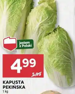 Stokrotka Market Kapusta pekińska oferta