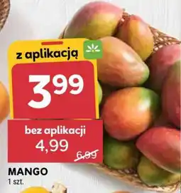 Stokrotka Market Mango oferta
