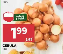 Stokrotka Market Cebula oferta
