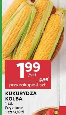 Stokrotka Market Kukurydza kolba oferta