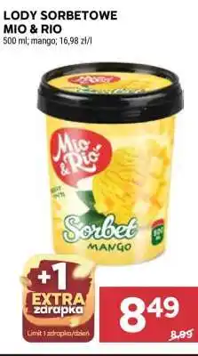Stokrotka Market Lody Sorbetowe Mio & Rio oferta