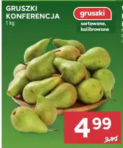 Stokrotka Market Gruszki Konferencja oferta