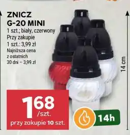 Stokrotka Market ZNICZ G-20 MINI oferta
