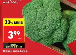 Biedronka Brokuł opak 500 g oferta