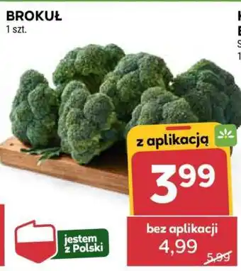 Stokrotka Market Brokuł oferta