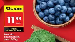 Biedronka Borówka amerykańska opak 300 g oferta