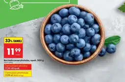 Biedronka Borówka amerykańska opak 300 g oferta