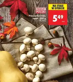 Biedronka Pieczarka mini opak . 250 g oferta
