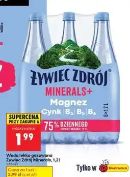 Biedronka Żywiec Zdrój Minerals + oferta