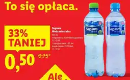 Lidl Saguaro Woda mineralna oferta