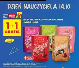 Biedronka Bombonierka strawberries & cream Lindt Lindor oferta