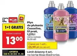Biedronka Płyn do płukania purple orchid & blueberries Coccolino Perfume Care oferta