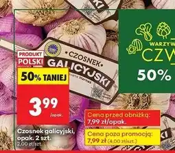 Biedronka Czosnek galicyjski premium oferta