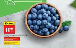 Biedronka Borówki amerykańskie oferta
