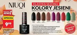Biedronka Lakier hybrydowy brąz 5 Niuqi Classic Fall oferta