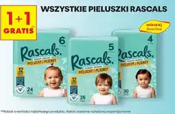 Biedronka Pieluchy rozm. 6 Rascals oferta