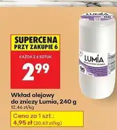 Biedronka Wkład olejowy do zniczy 240 g 96 h Lumia oferta