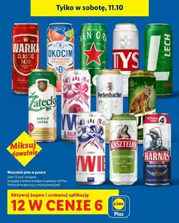 Lidl Piwa w puszce oferta