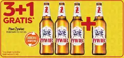 Polomarket Piwo Żywiec oferta