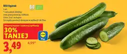 Lidl Ogórek BIO Lidl oferta