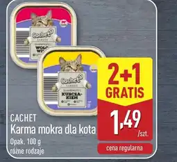 ALDI Mokra karma dla kota Cachet oferta