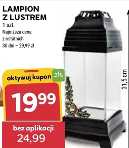 Stokrotka Lampion oferta