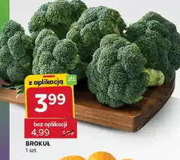 Stokrotka Express Brokuł oferta