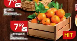 Chata Polska Mandarynka oferta