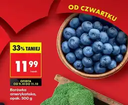 Biedronka Borówka amerykańska 300g Biedronka oferta