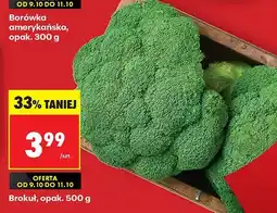 Biedronka Brokuł Biedronka oferta